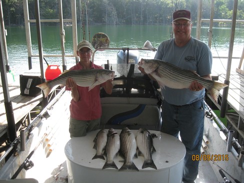 Nice Striped Bass